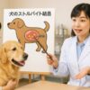【獣医師執筆】犬のストルバイト結晶の原因と食事管理のポイント
