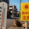 猫の暑さ対策が必要な温度目安とは
