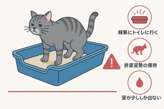 病気を早期発見するためのサイン