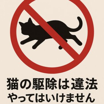猫の駆除は法律的に認められるか
