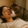 猫が飼い主の体調悪い時にそばにいるのは本能？【獣医師執筆】
